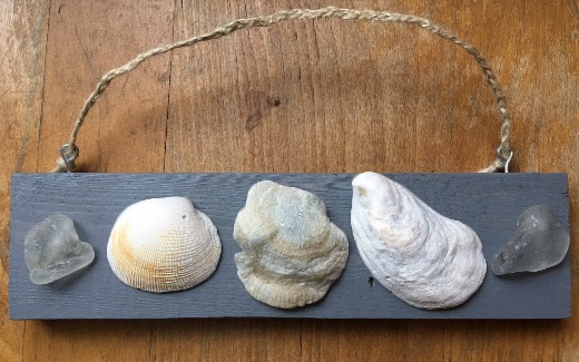 Seashell on Wood Wall Hanging
