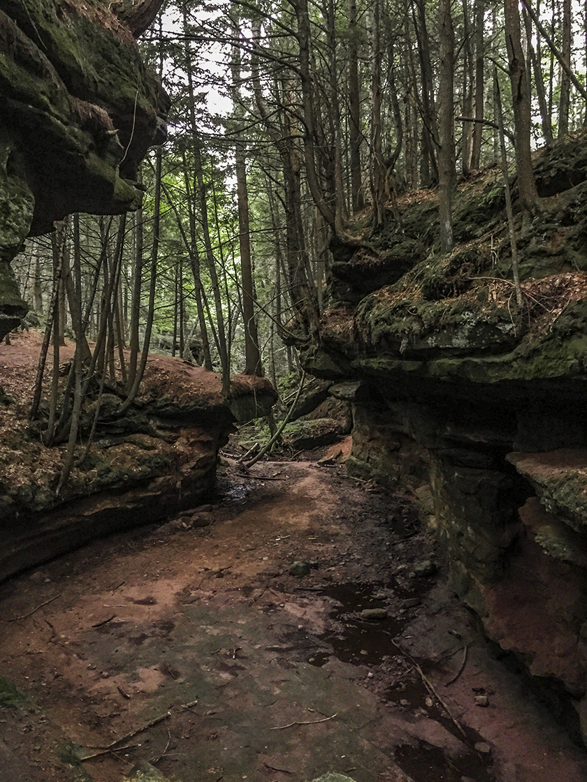 Echo Dells at Houghton Falls State Natural Area