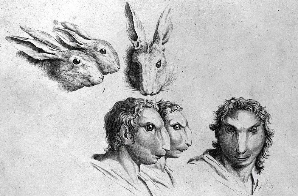 Design Stack: A Blog about Art, Design and Architecture: Animal ...