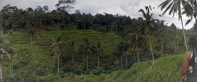 Tegalalang Rice Terrace Bali listeningisloving.blogspot.com