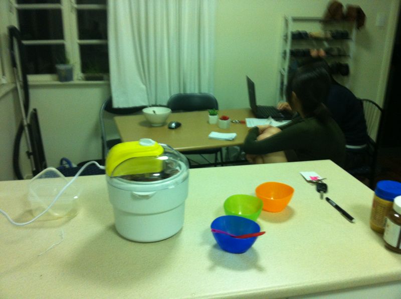 Interesting Blabber KMart Ice Cream Maker Review