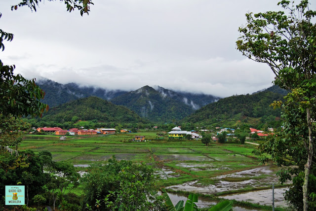 Kelabit Highlands, Borneo (Malaysia)