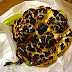 Portuguese Restaurant Covent Garden Portuguese Restaurant Covent Garden
