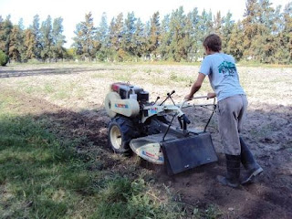 AGROREVISTA: SEMANA CORTA