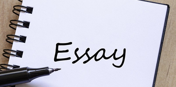 Dissertation essay writing service hiring program Dissertation essay writing service hiring program