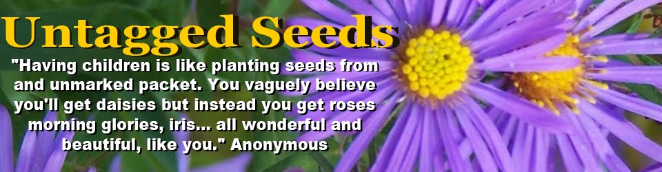 Untagged Seeds