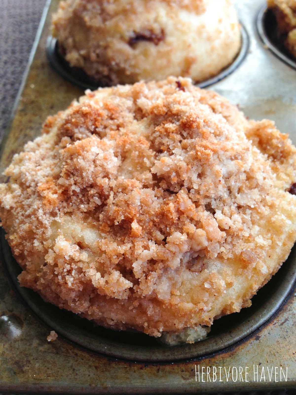 Herbivore Haven Cinnamon Swirl Coffee Cake Muffins