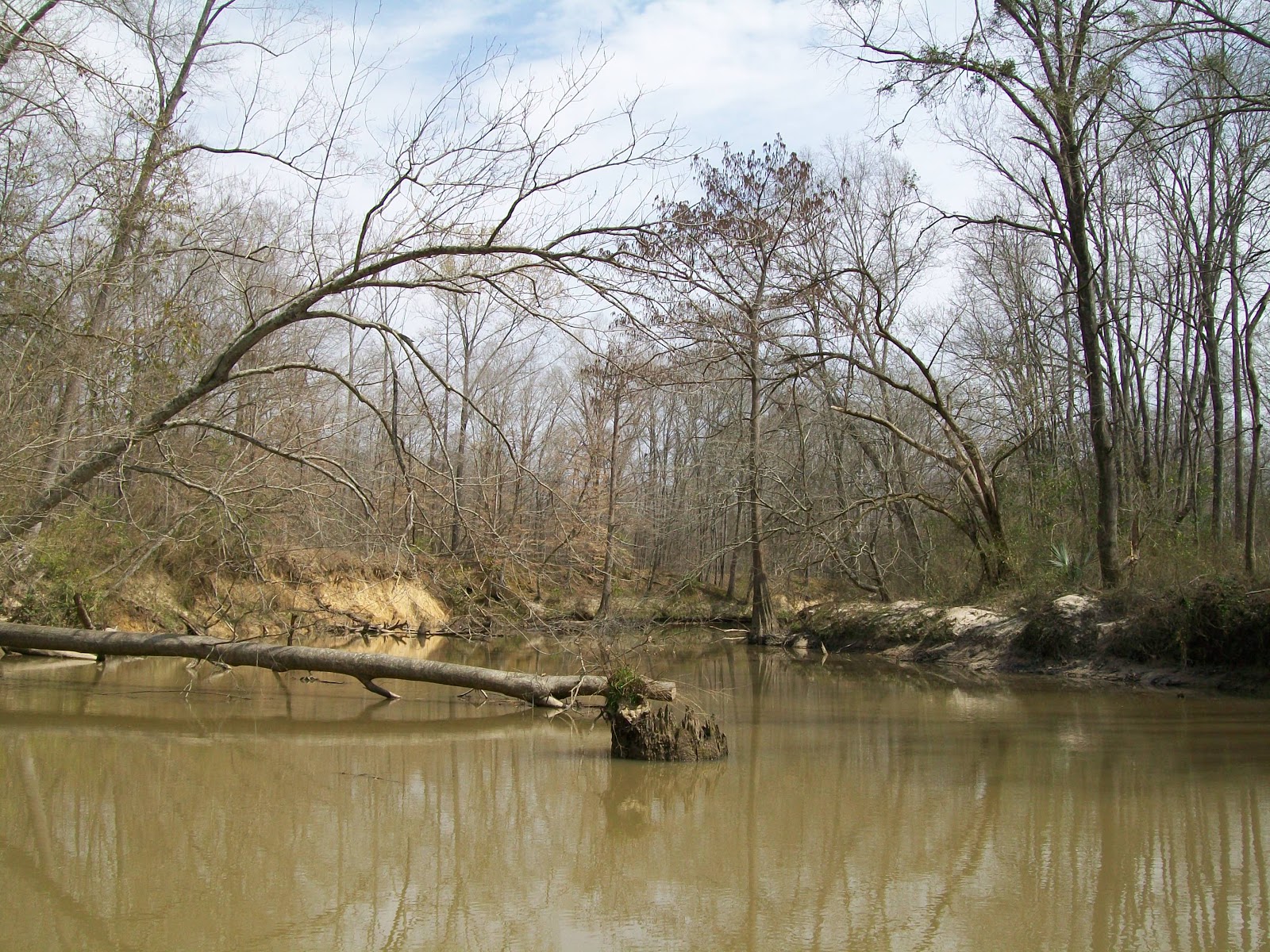 Canoe and Machete Pelahatchie Creek