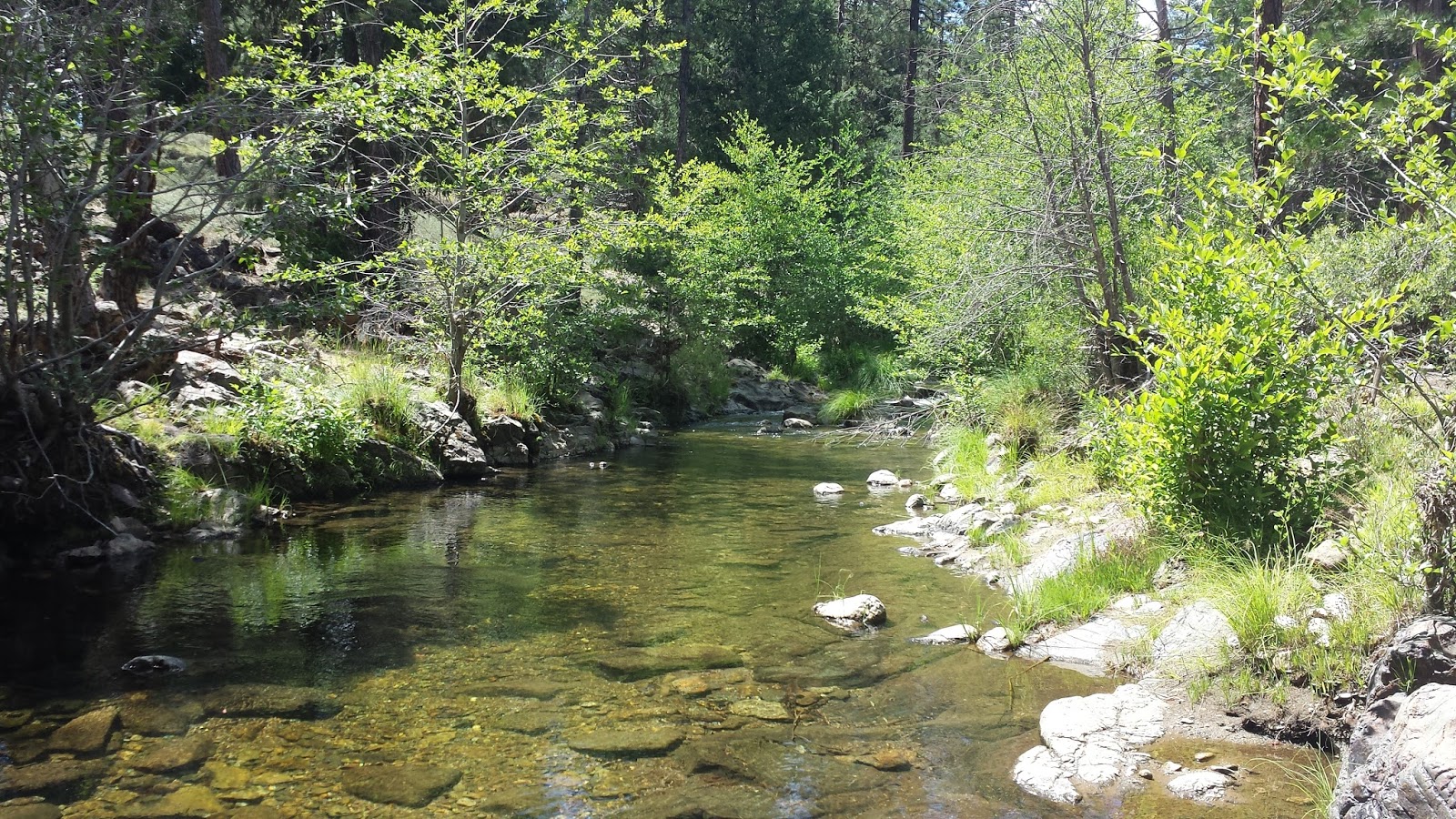 Keep Calm and Fly Fish Summer Visit To BCC & Meadow Valley Creek