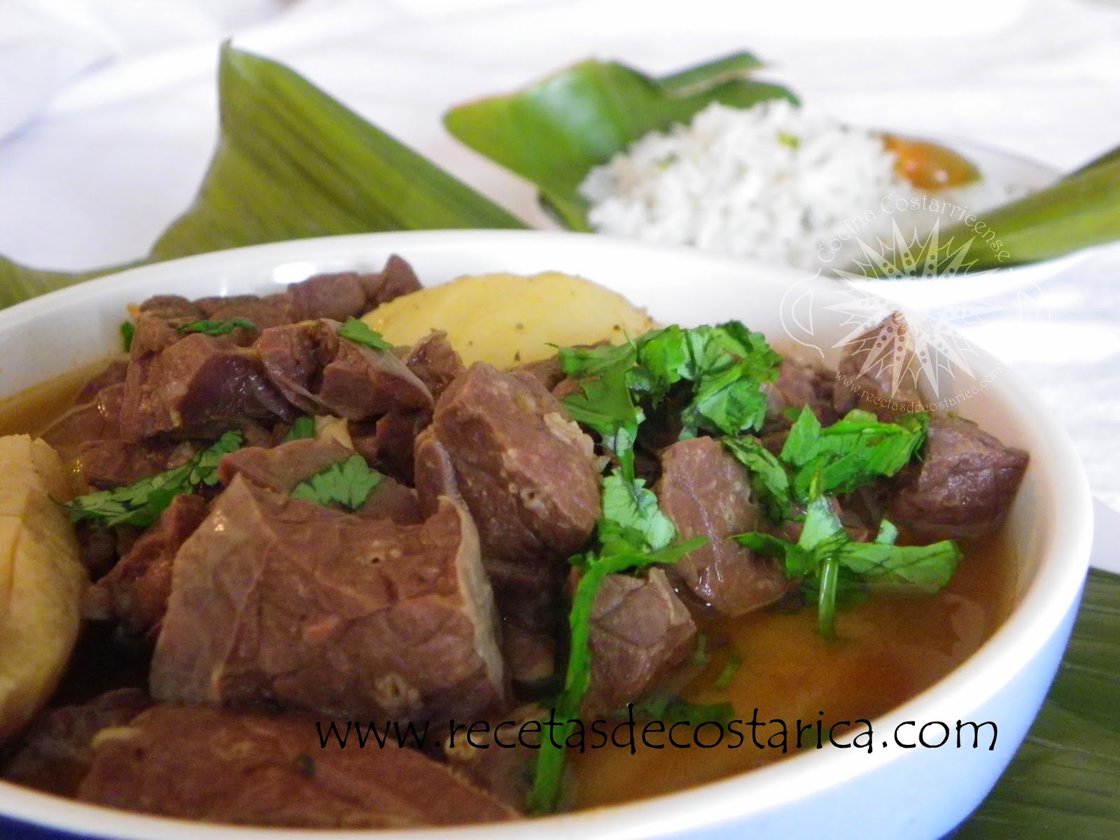 Cocina Costarricense: bofe de res