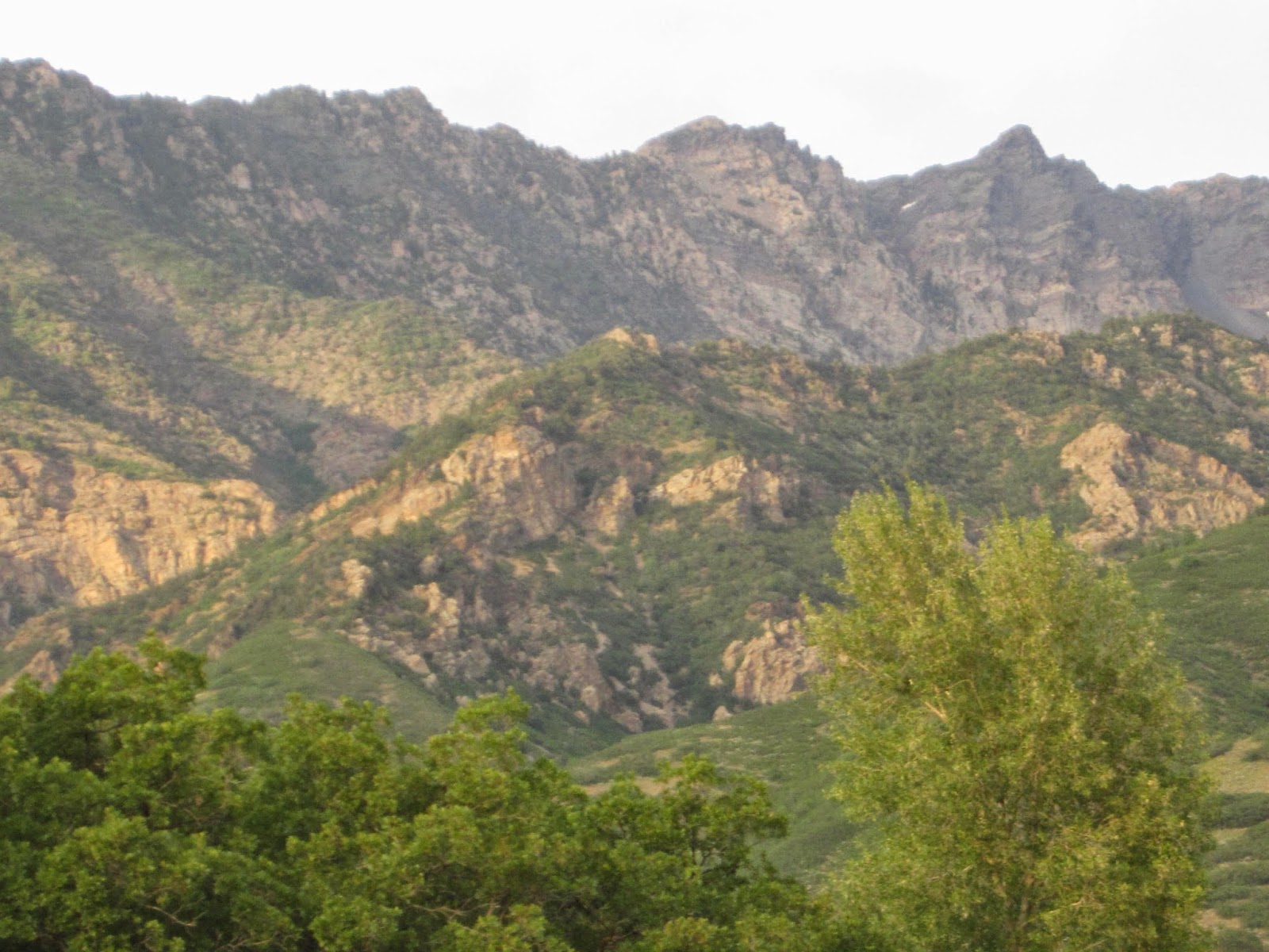 Our Life with 13 Kids * ** Quail Trail