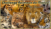 animaux du monde chez Sharon