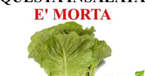 Siccome è facile da smettere di bere e fumare il libro