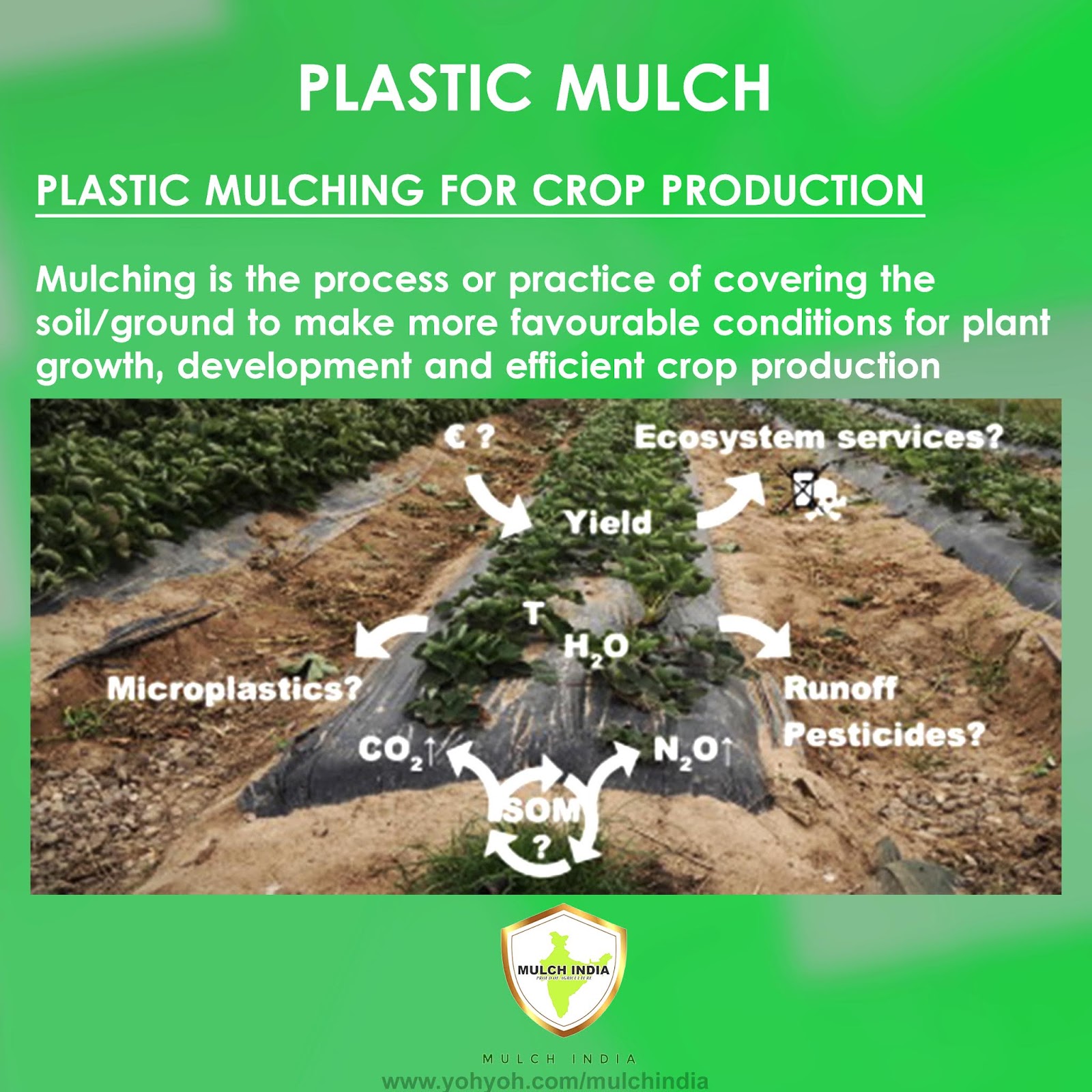 MulchIndia Plastic Mulching for Crop Production Mulch India