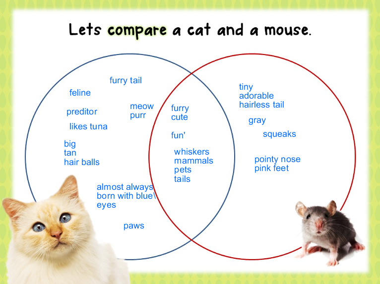 Bloggerific!: Comparing Big Juicy Decimals