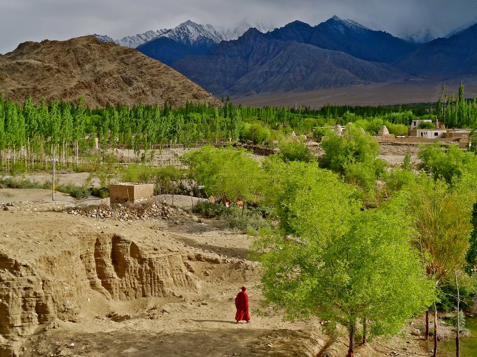 Ladakh nunnery, Leh Ladakh travel guide