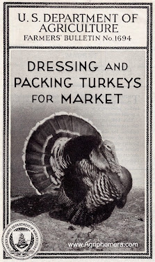 Dressing and Packing<br>Turkeys for Market (1932)