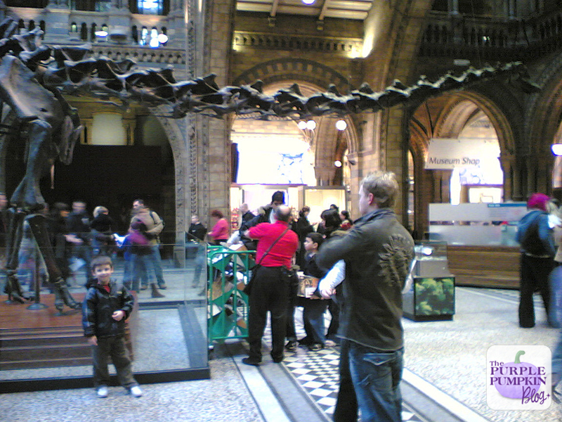 Natural History Museum, London