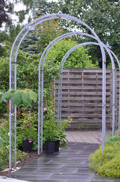 Garten Liebe Neue Kletterrosen Wunderbarer Schwalbenschwanz