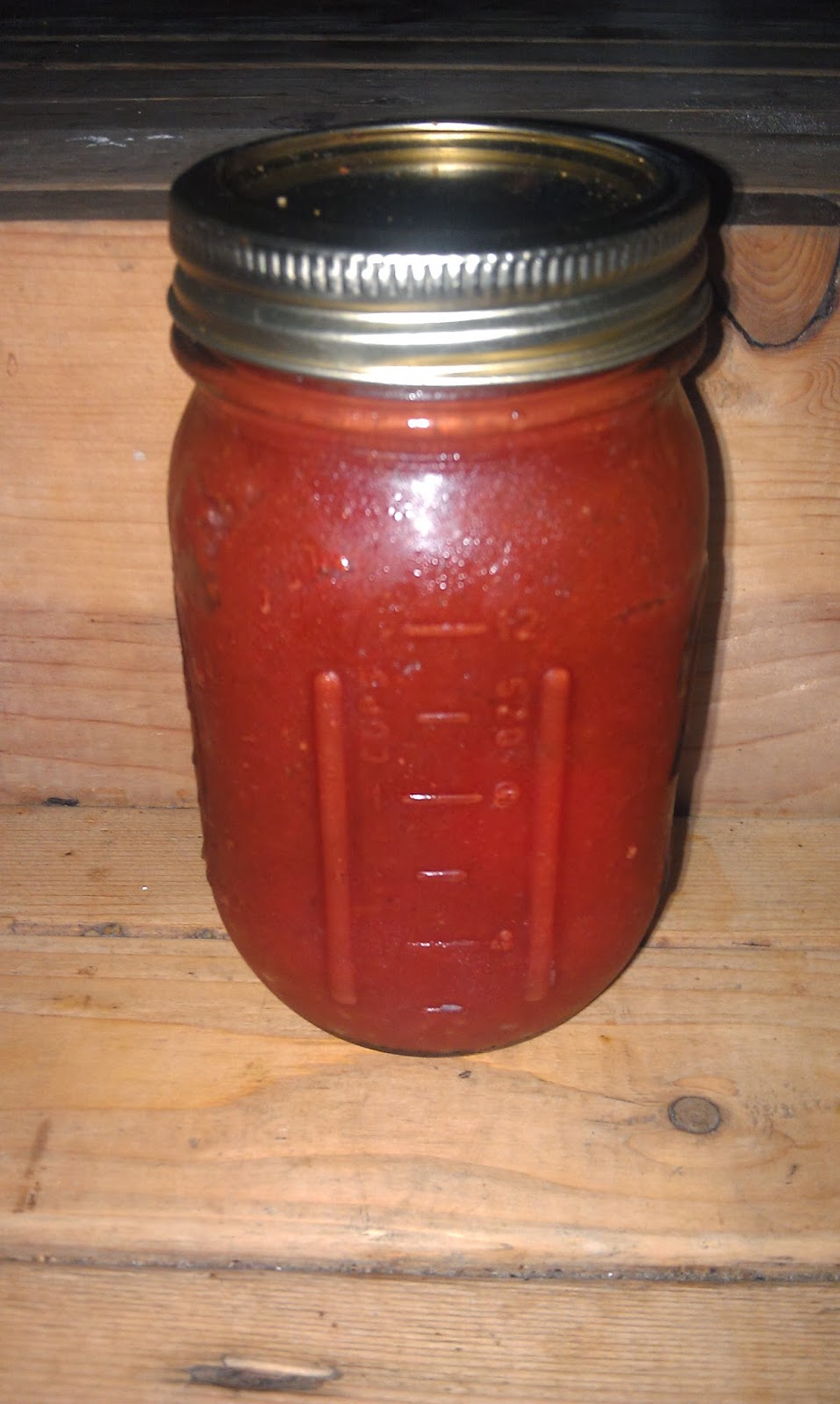 The Wholesome Life Homemade Lacto Fermented Ketchup