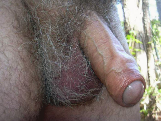 Hairy Cocks and Balls.