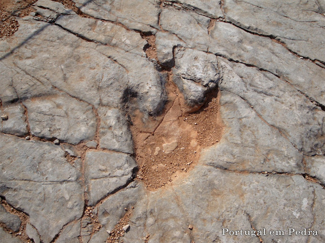 Serra de Aire e Candeeiros National Park - dinosaur footprint