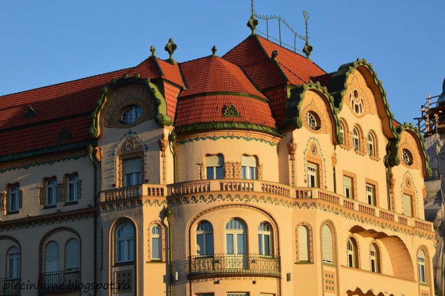 Palatul Vulturul negru, Oradea