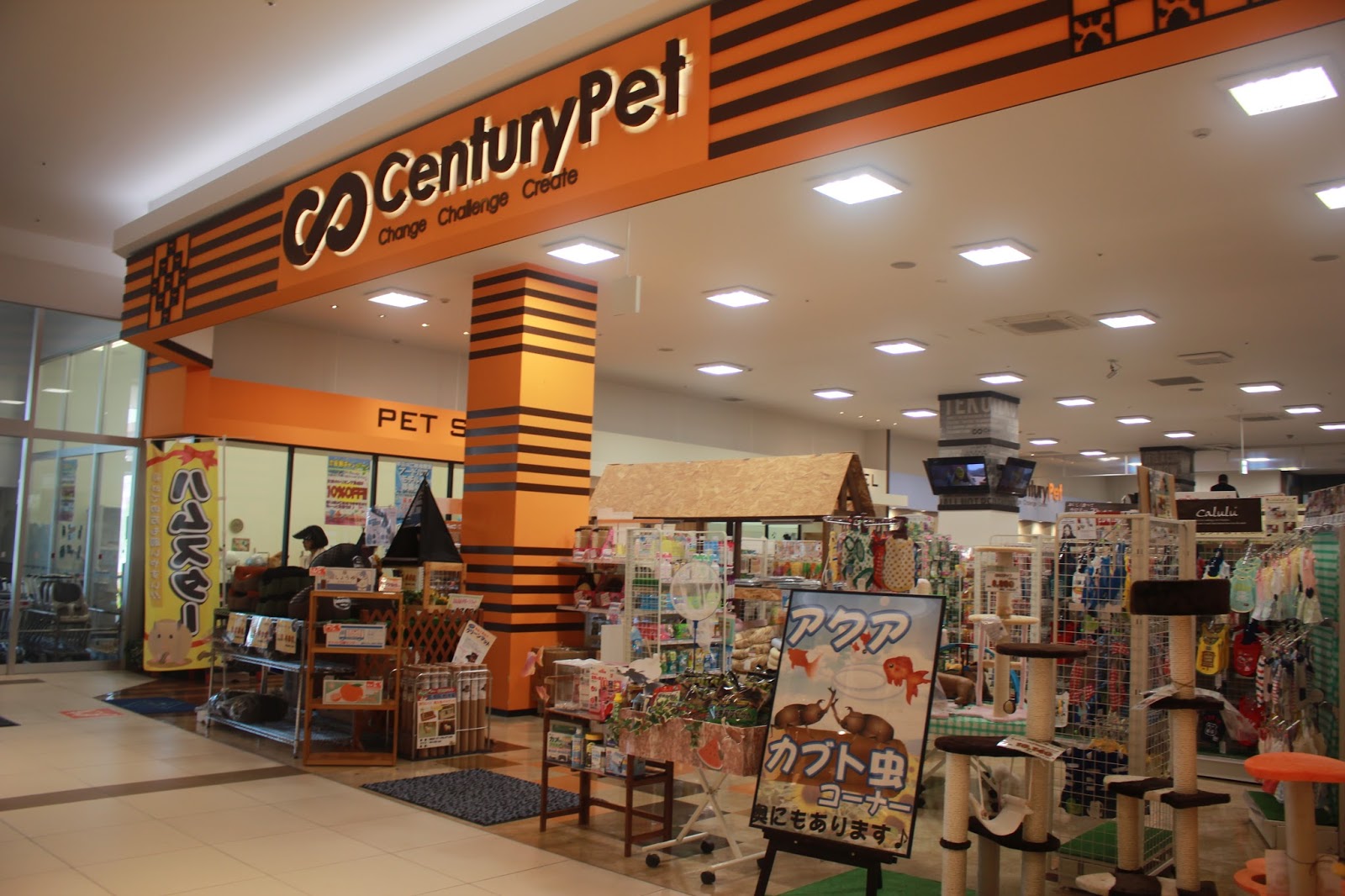 Old my Blog 【日本】寵物店（Century Pet / Pet Plaza)