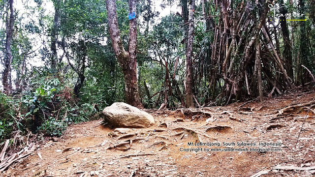 Pendakian Gunung Latimojong via Dusun Karangan