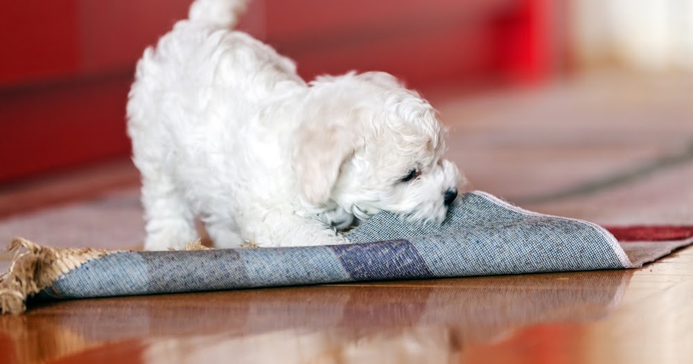 Rug Master The benefits of rug under pads