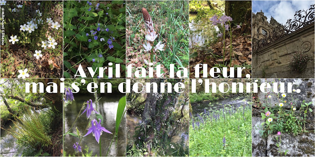 Photos par SRN - licence CC BY-SA