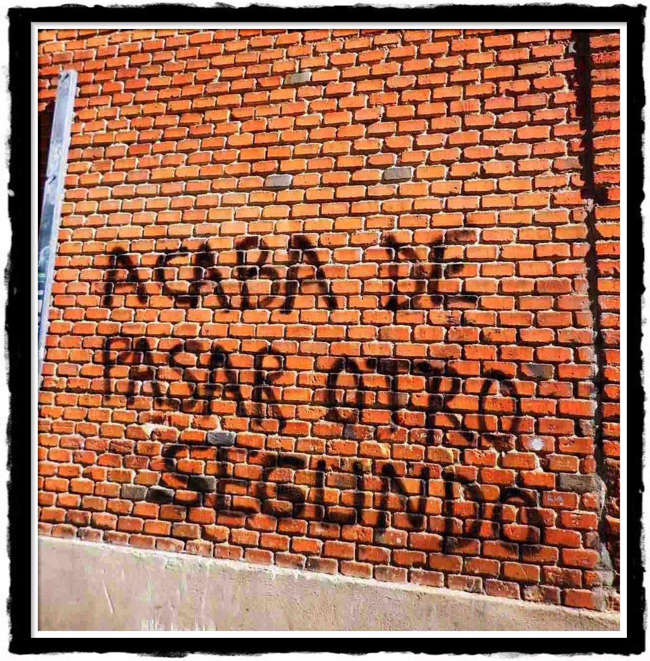 ! PALABRAS INTERESANTES, HERMOSAS, RARAS Y DIVERTIDAS AD CALENDAS