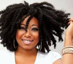 Are you a Naturalista but have no idea how to style your Natural Hair ...