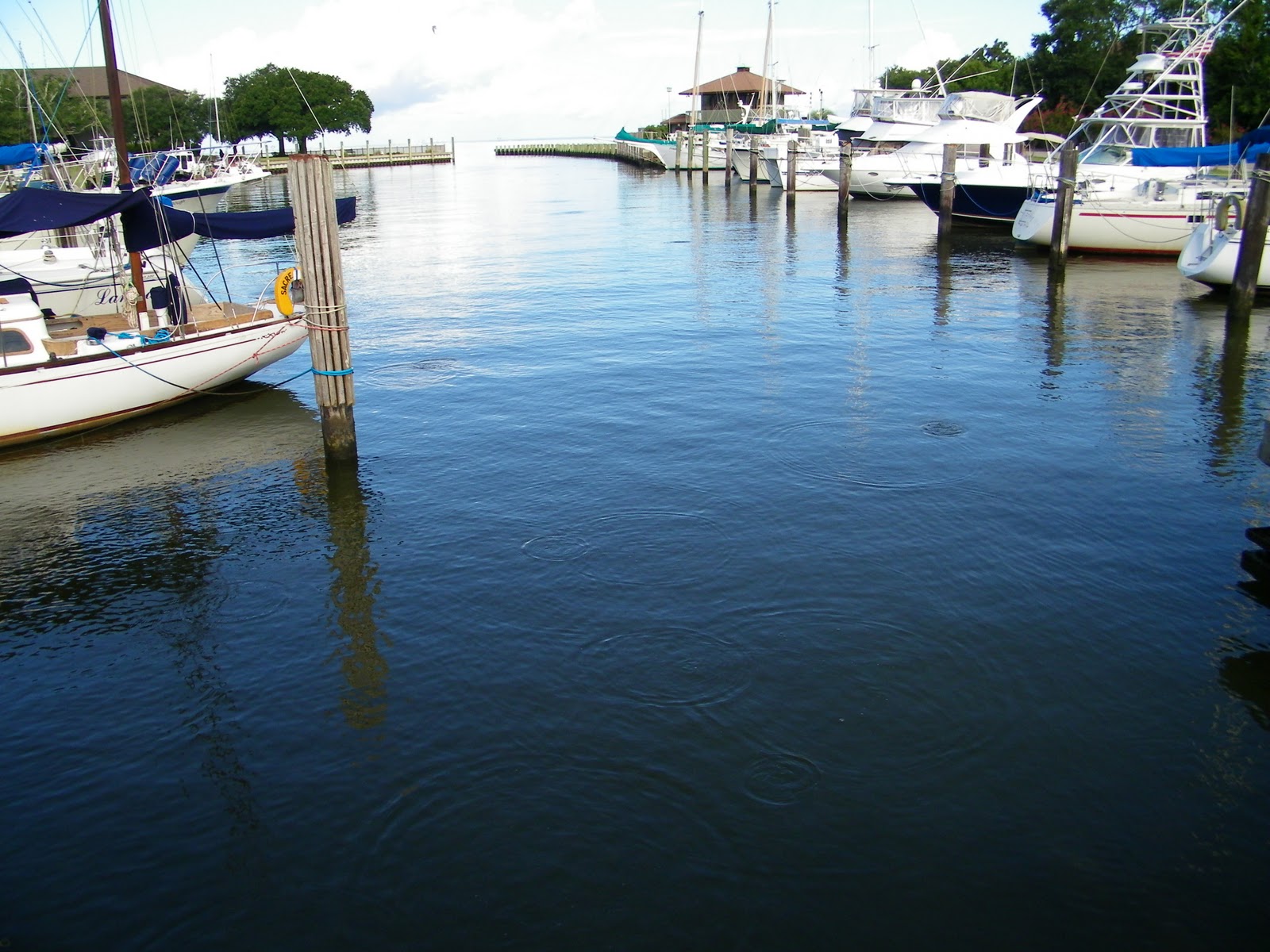 iMobileBay Community News & Real Estate, with Tamatha McElmurry Broker