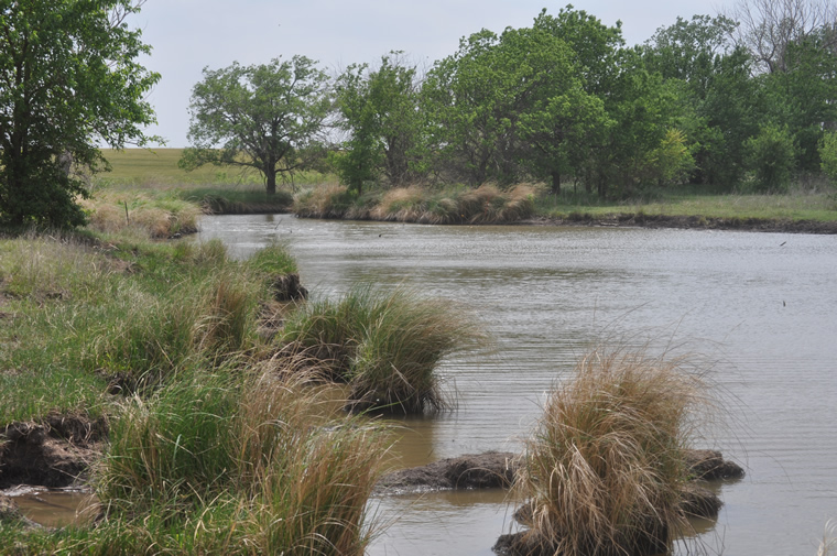 What My Father Never Told Me The Chisholm Trail