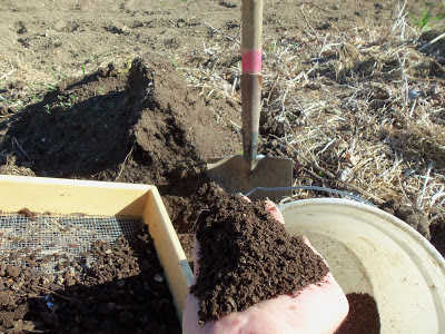 The Deliberate Agrarian: A Simple Homemade Compost Riddle