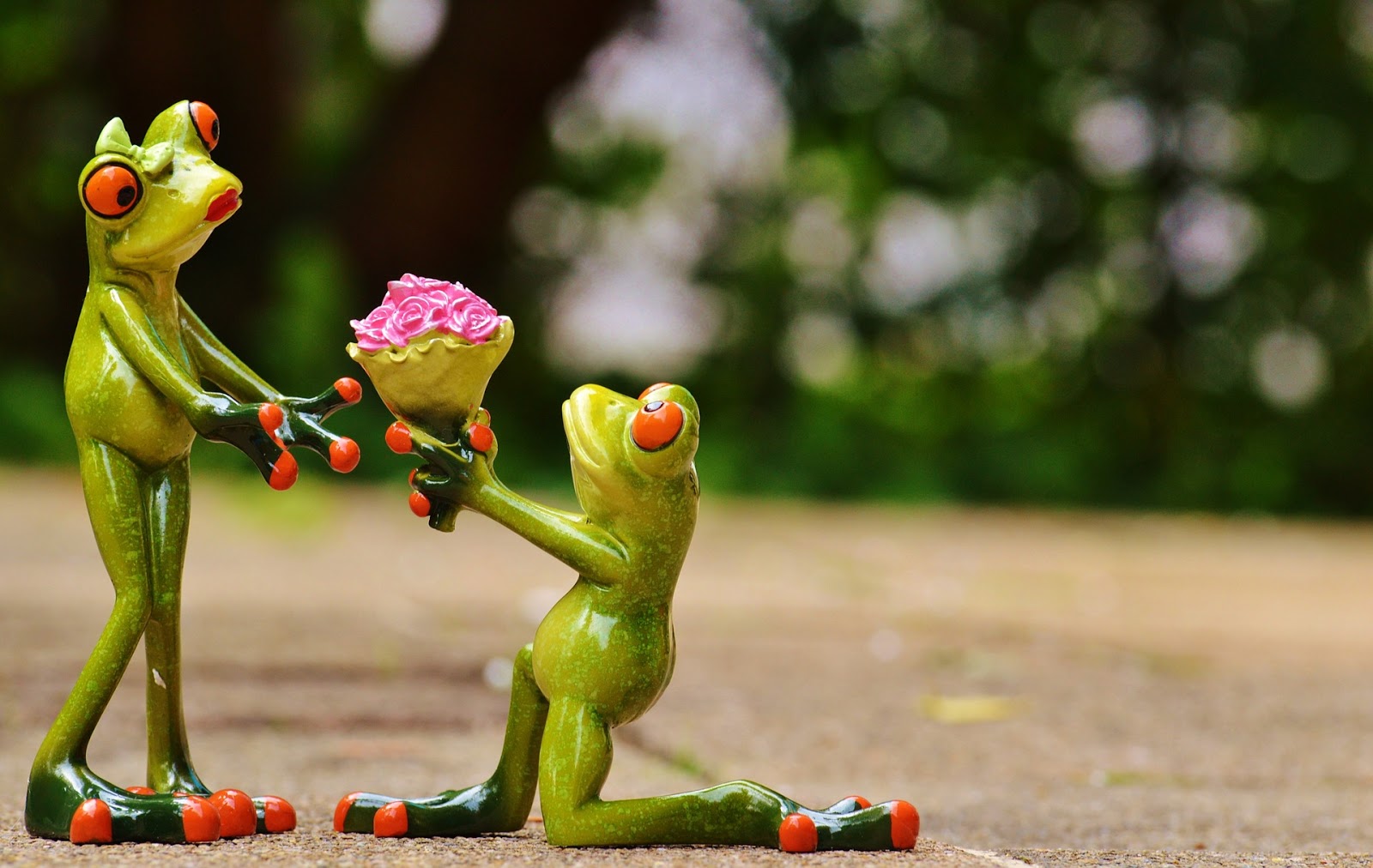 What Is The Difference Between Wedding Marriage Geek World Wedding And Marriage