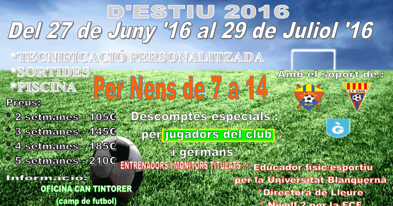 GAVA F C gava f c: