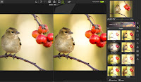 InPixio Photo Editor v10.4.7625.29543 Full version