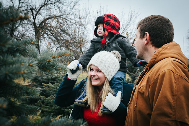 Binghamton Family Photographer 