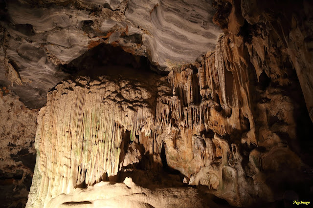 25-11-18. Suricatos en Oudtshoorn, Cango Caves y domir en Knysna. - Ciudad del Cabo y Garden Route (4)