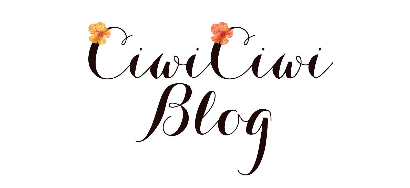 CiwiCiwi Blog
