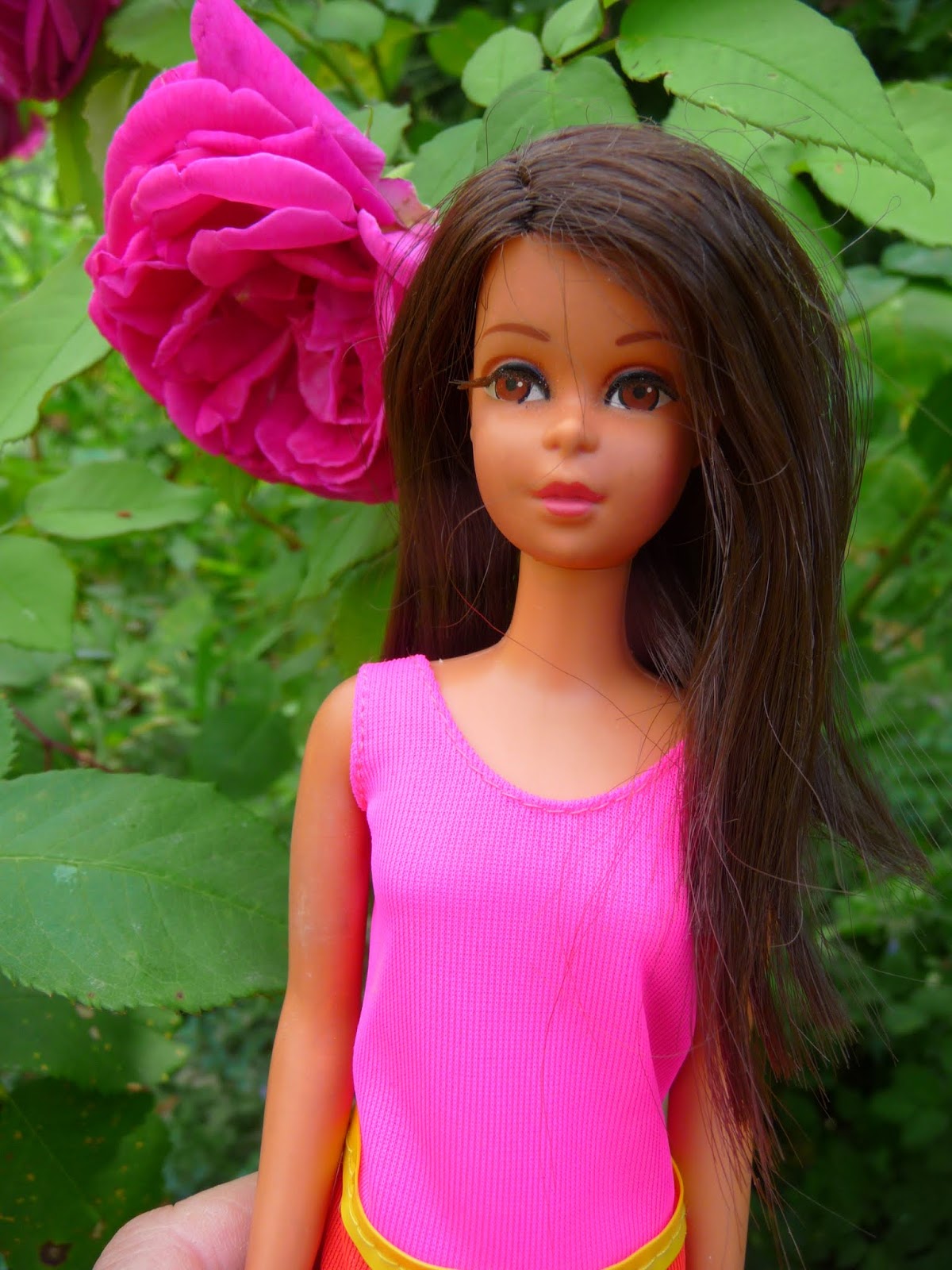 Mon blog sur les poup?�es Barbie Francie anciennes vintage ann?�es 60