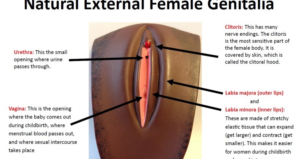 Removal of the clitoris in women Removal of the clitoris in women