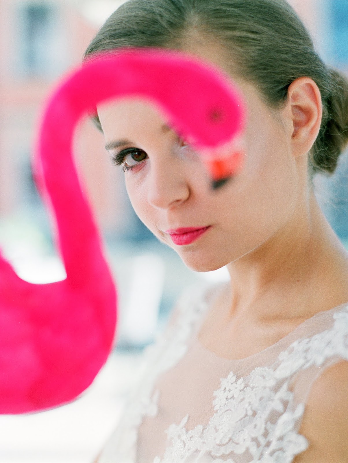 Sweet Flamingo Sweet Flamingo