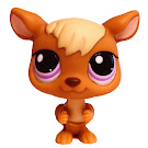 Littlest Pet Shop Pet Pairs Kangaroo (#983) Pet Littlest Pet Shop Pet Pairs Kangaroo (#983) Pet