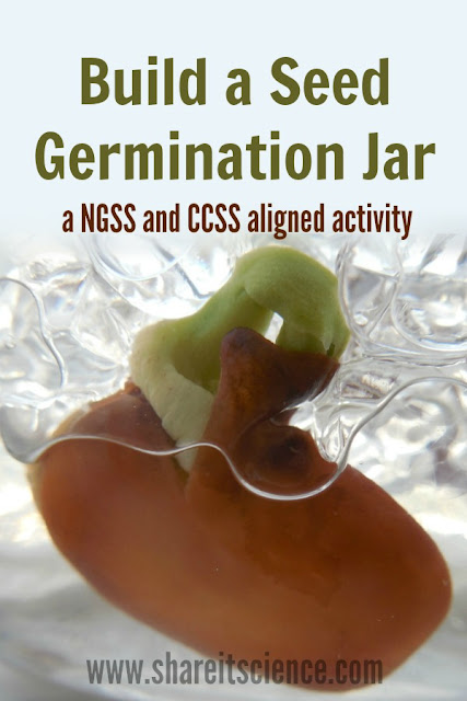 Build a Seed Germination Jar for Science Experiments