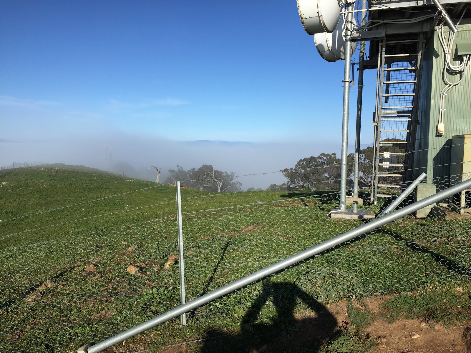 Phil's Bushwalking Blog Canberra Nature Park One Tree Hill (4)