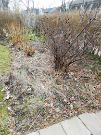 Paul Jung Gardening Services Toronto Summerhill spring cleanup before