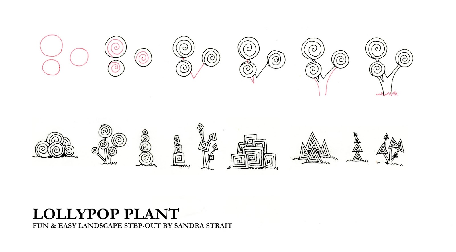 lollipop plant fun easy landscape step out funandeasylandscape step out zensations zebrapenus